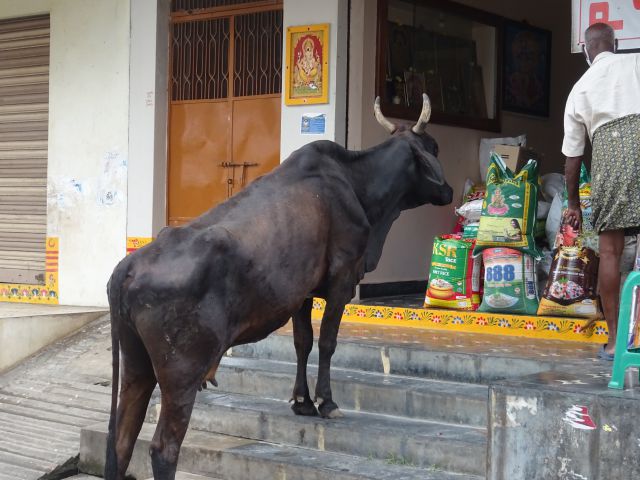 Vijayawada